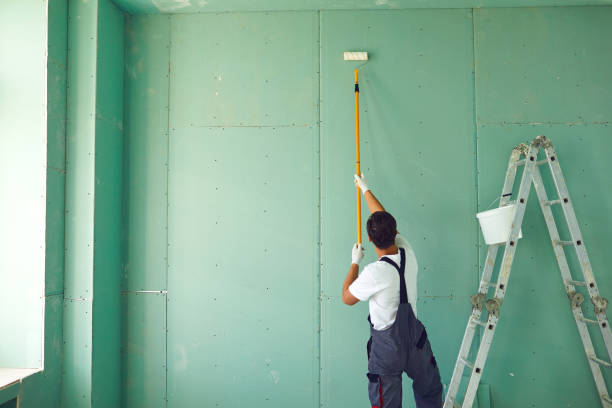 Professional Mold Removal in Keller, TX